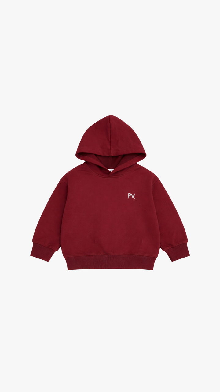 PV Kids Hoodie