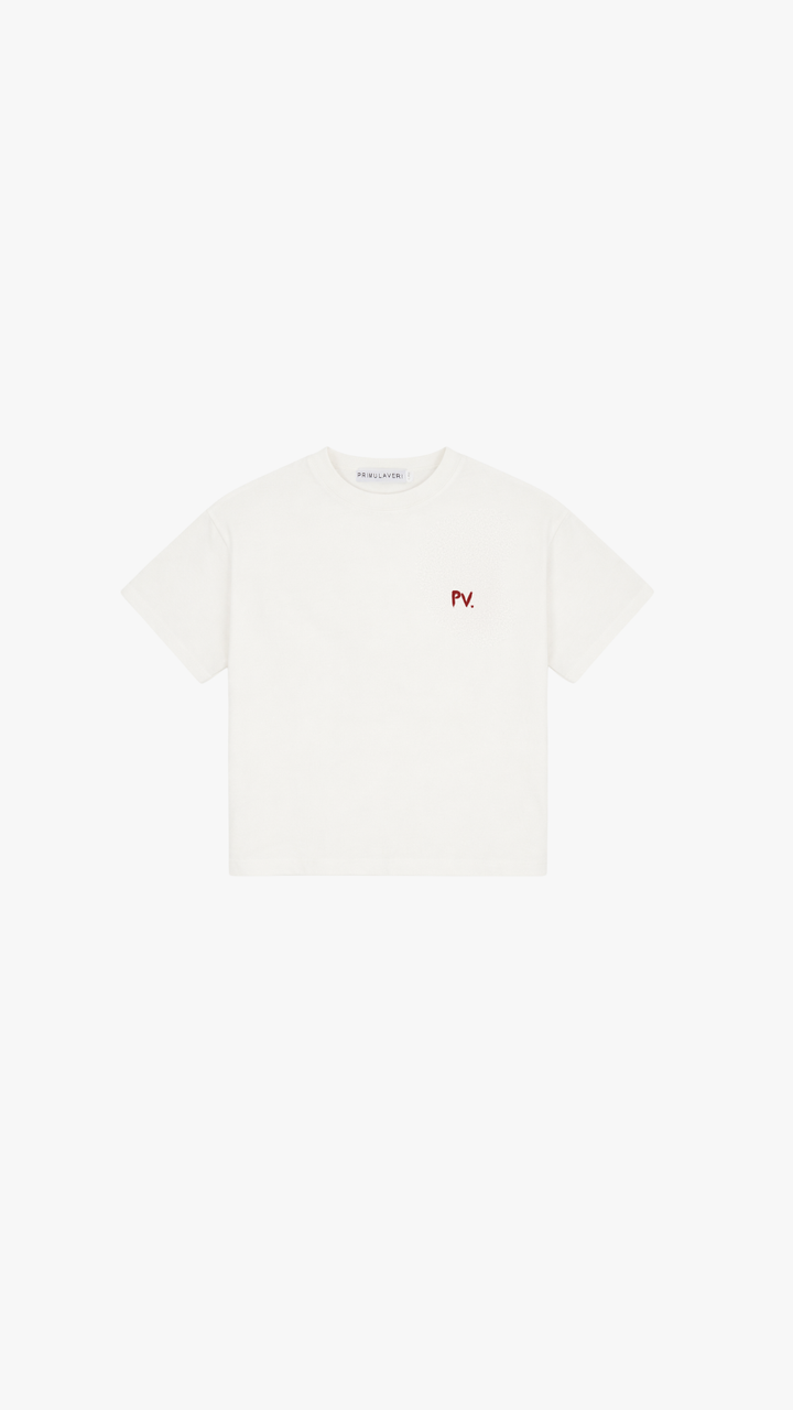 PV Graphite Kids T Shirt