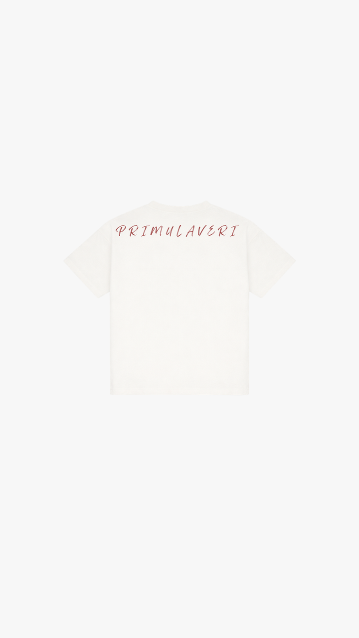 PV Graphite Kids T Shirt